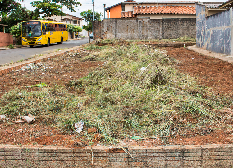 Prefeitura já cumpre Lei que obriga proprietários de lotes manterem as áreas limpas