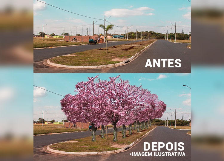 Prefeitura inicia plantio de cerejeiras no Jardim Valência, que após florada das mudas, se tornará novo cartão postal para a cidade e região